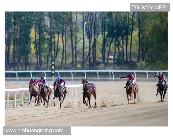 武汉乒乓球队在联合会杯中展现出惊人速度的精彩表现分析 武汉乒乓球队在联合会杯中展现出惊人速度的精彩表现分析